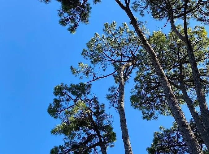 Lägenhet La De Leontine